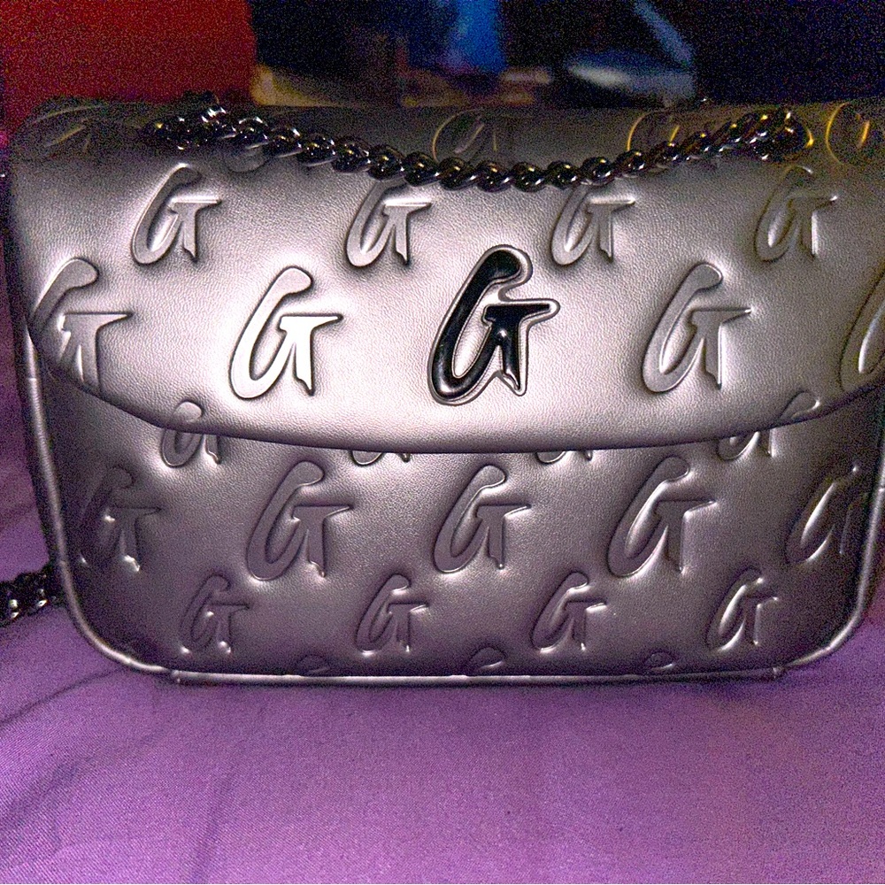 Glamaholic Lifestyle Mini Platinum Flap Bag